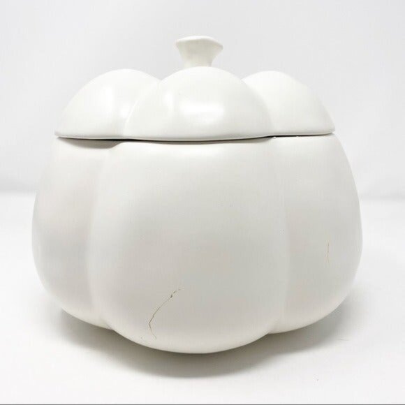 Rae Dunn Harvest Pumpkin Storage NEW - Picture 2 of 9